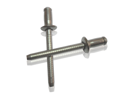 Light music Rivets | hippocampus nails